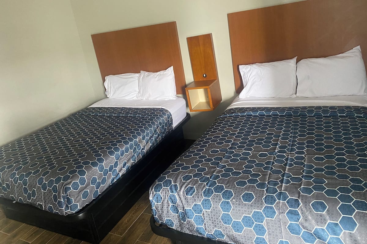 Quarto duplo luxo | 1 quarto, roupas de cama de algodão egípcio, roupas de cama premium
