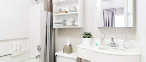 Upgrade 1 Queen Bed with Sofa bed | Bathroom