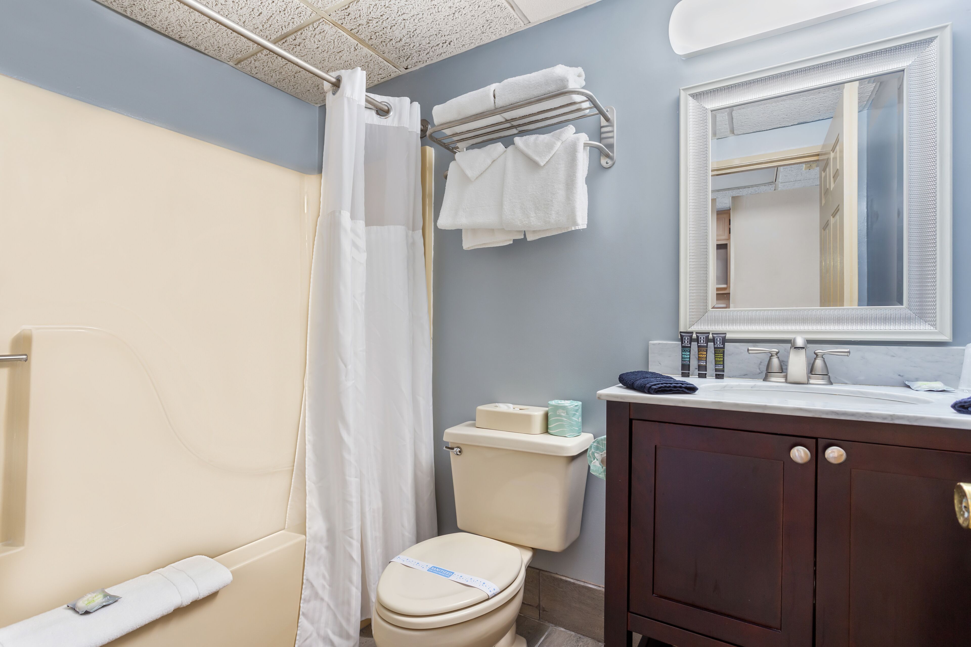 A bathroom with a toilet, shower curtain, towel rack, and a mirror above the sink.