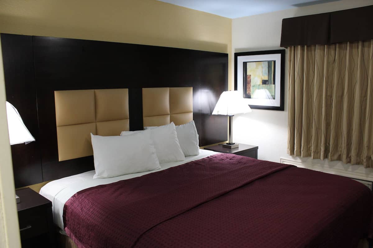 A hotel room with a large bed, a nightstand, a lamp, and a framed picture on the wall.