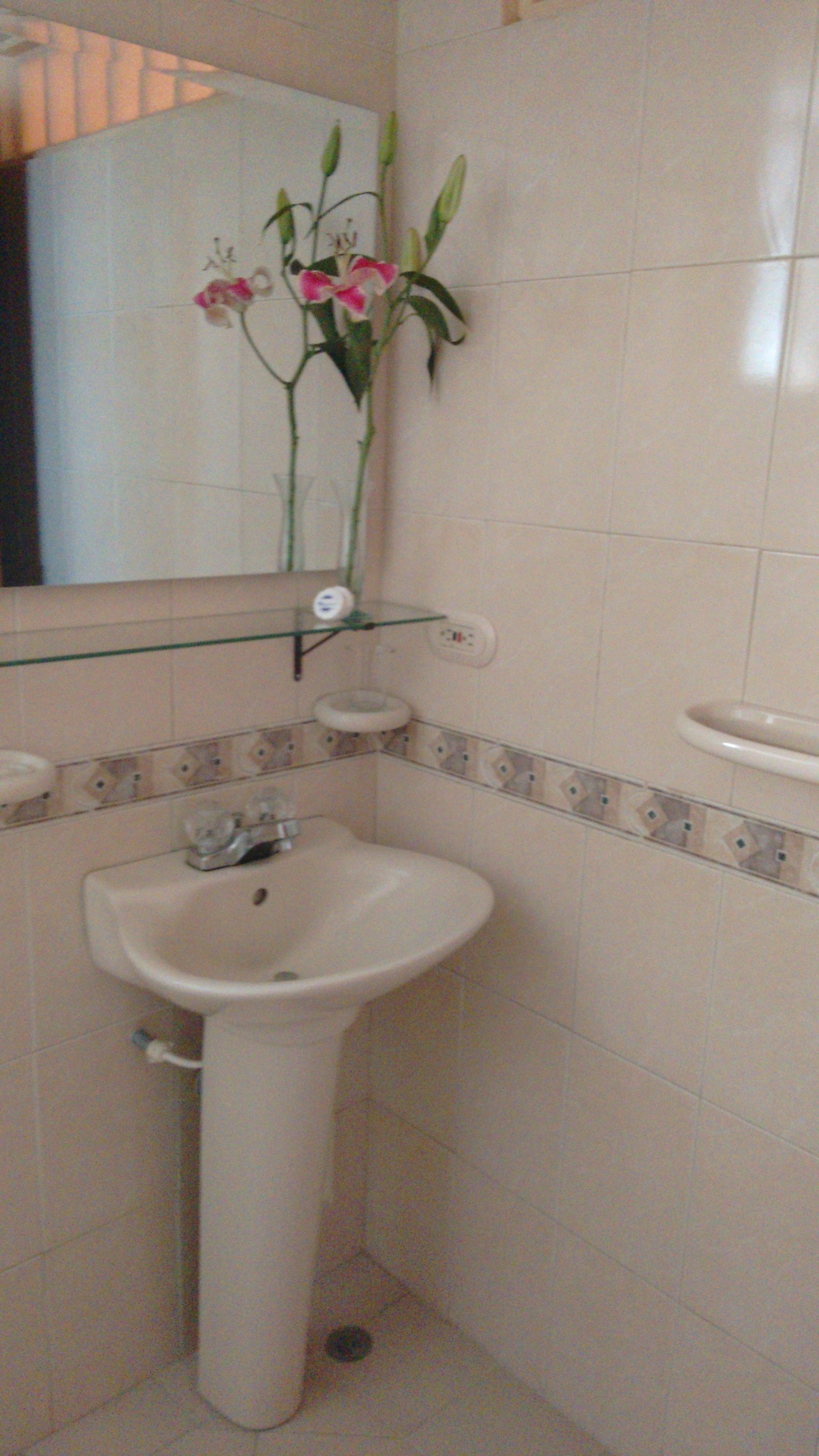 A bathroom with a pedestal sink, a mirror, and a glass shelf holding a potted orchid.