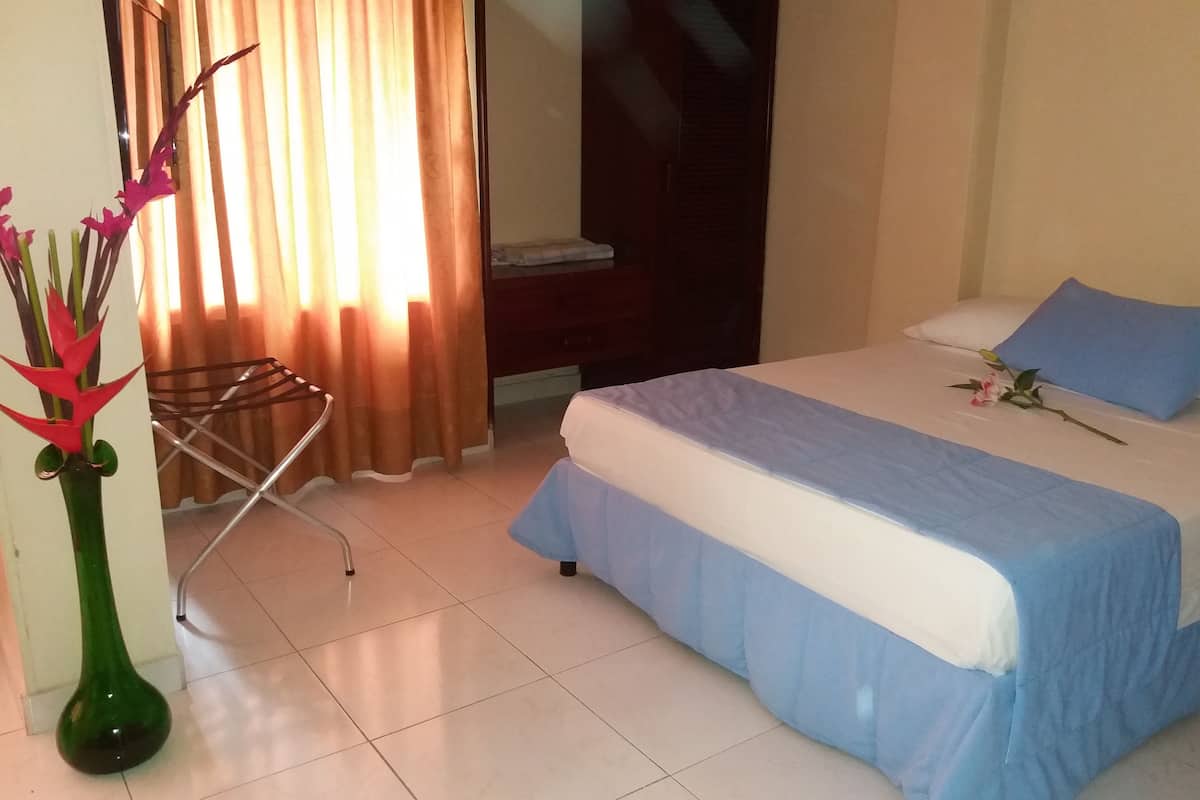A hotel room with a bed, a chair, a curtain, and a plant.