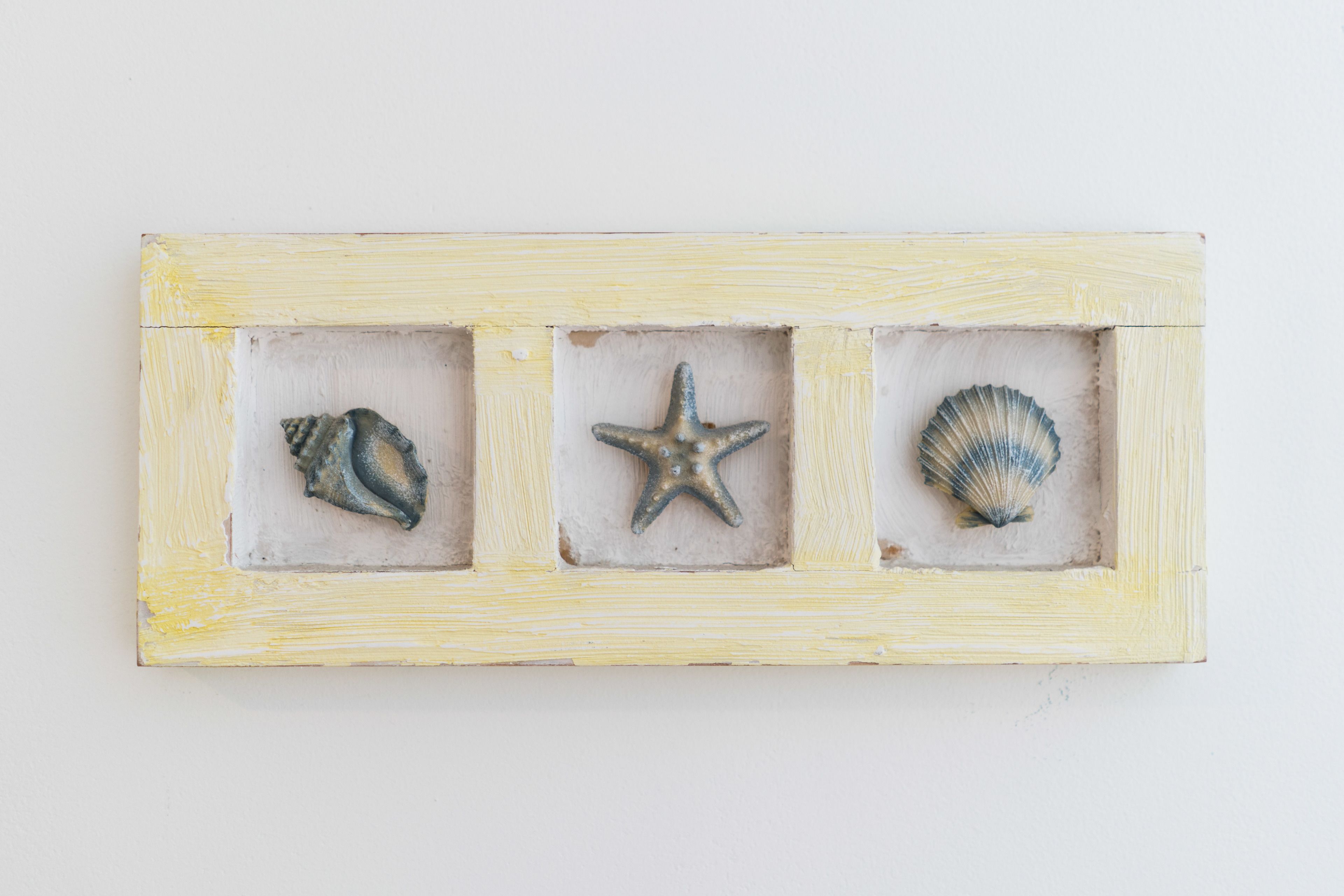 A wooden display case with three compartments, each containing a seashell and a starfish.