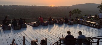 Treechart Hostel