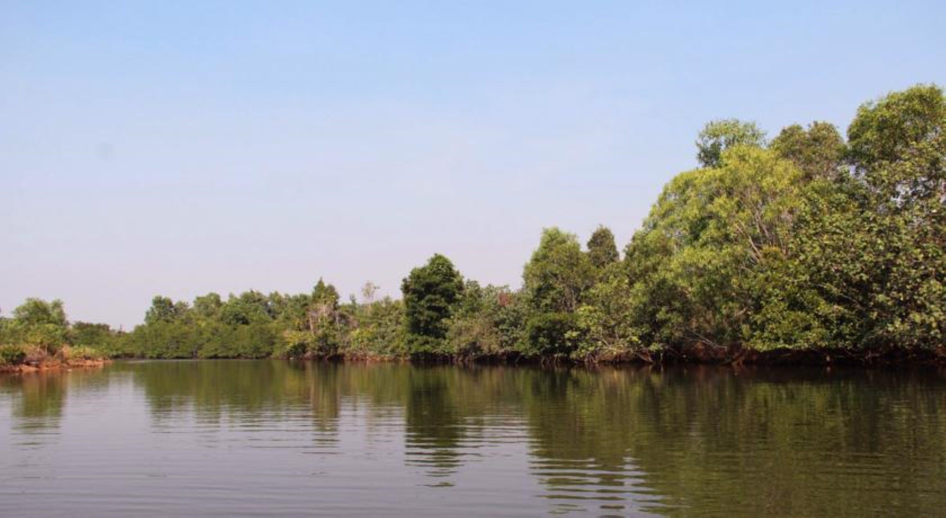A calm river with dense greenery on the banks.