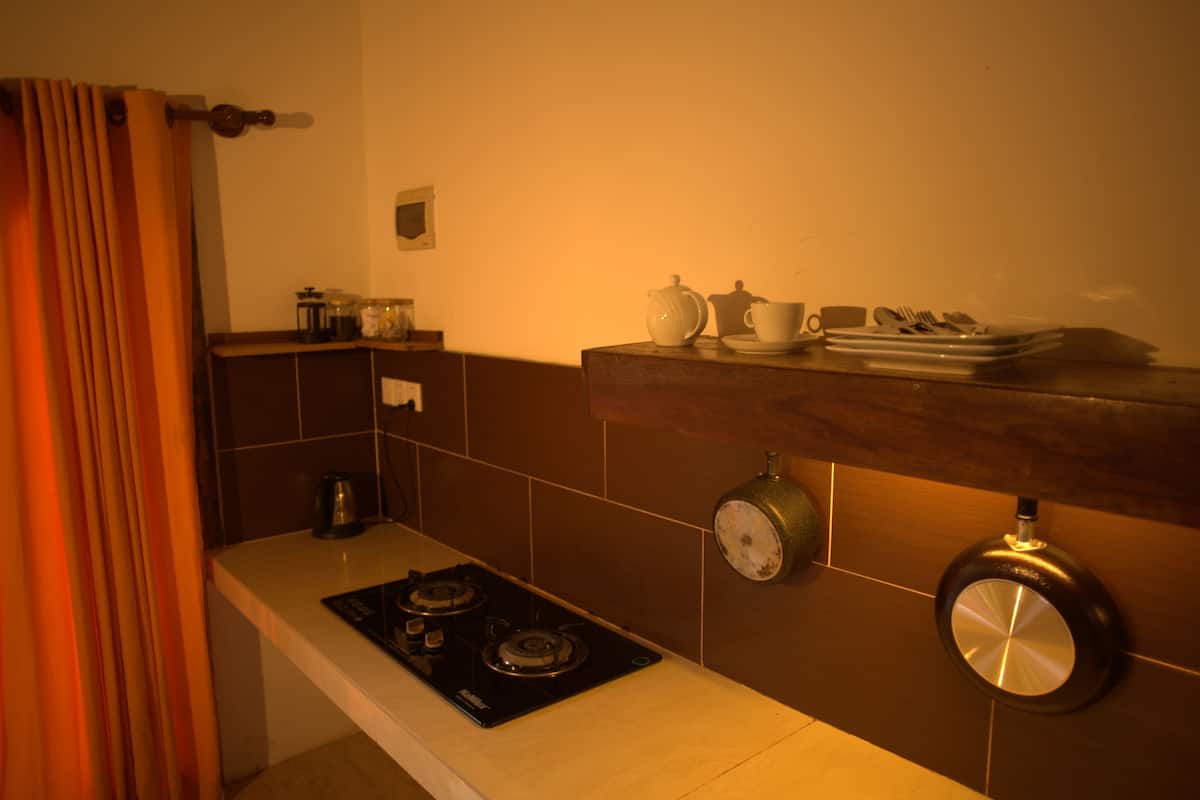 studio river view | private kitchenette | fridge, electric kettle