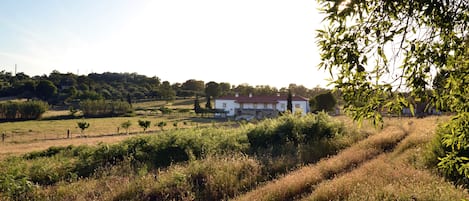 Terrein van de accommodatie