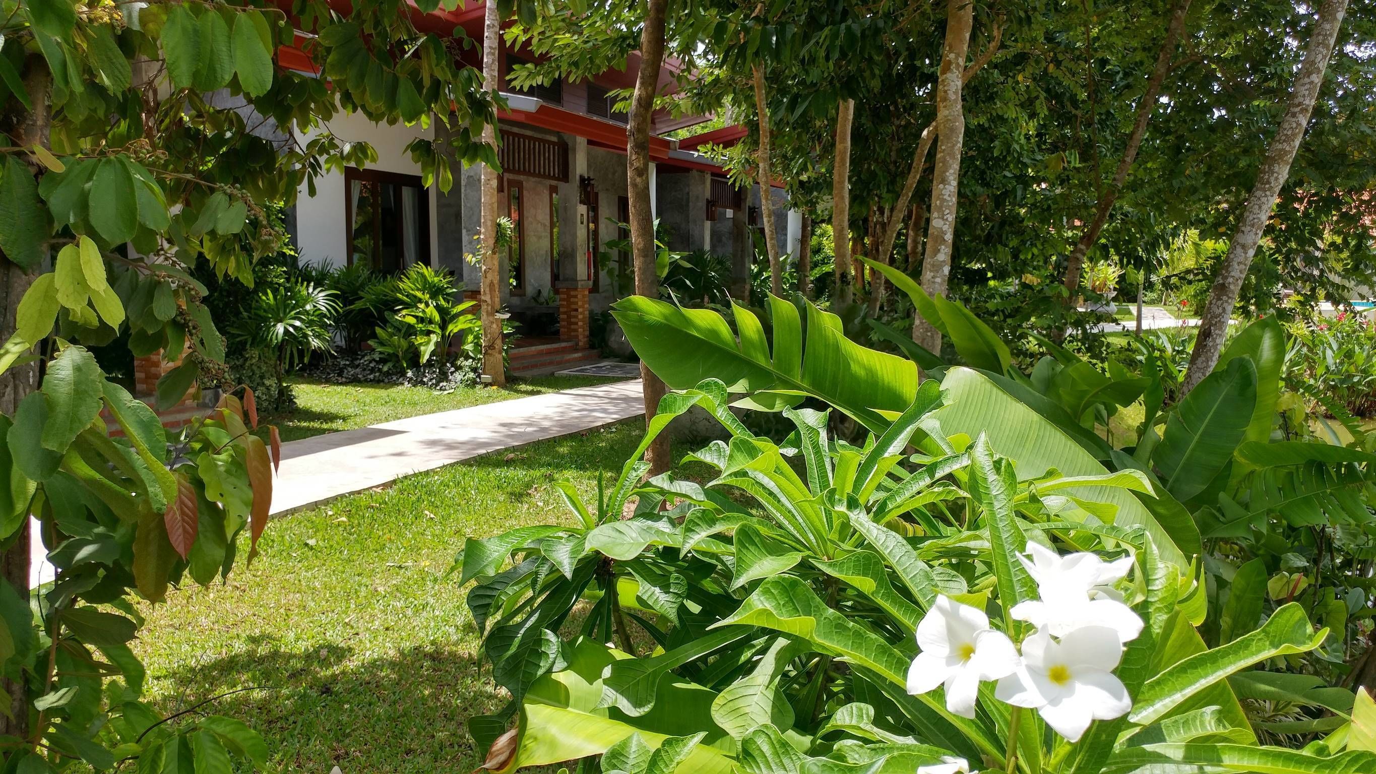 A lush garden with a pathway leading to a building with a red roof and columns.