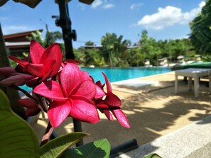 A poolside area with a clear view of a swimming pool, lounge chairs, and tropical vegetation. - Arthaya Villas (Ko Lanta)