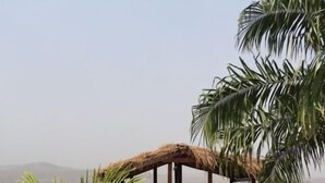 A wooden deck with a thatched roof, surrounded by palm trees and white rocks. - Volta Escape Resort (Atimpoku)