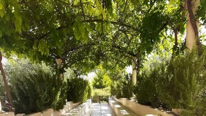 A covered walkway with tiled flooring, surrounded by lush greenery and trees. - Apartments Trstenica (Orebic)