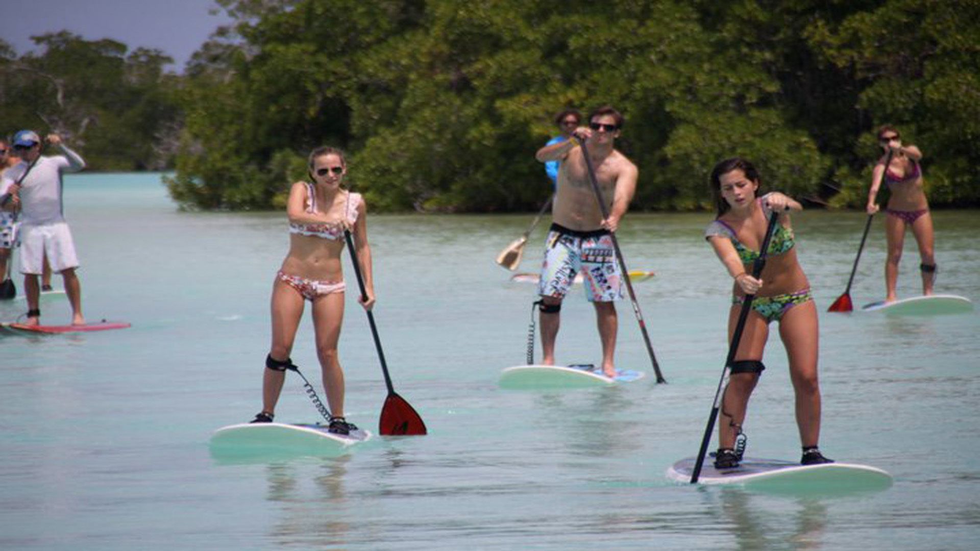 Pessoas em pranchas de remo em águas calmas, possivelmente um lago ou mar tranquilo, com árvores ao fundo.