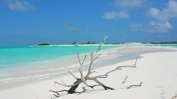 Nära stranden och vit sandstrand