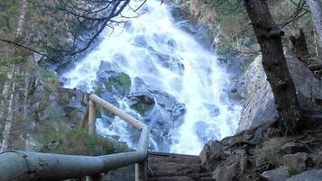 Una escalera de piedra que conduce a una cascada, rodeada de árboles.