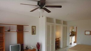 Habitación de hotel con cama, televisor sobre un soporte de madera, ventilador de techo, una mesita con un florero y una puerta que da a un baño y cocina.