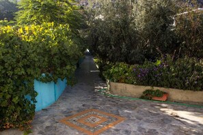 Property grounds - Climbing House (Kalymnos)