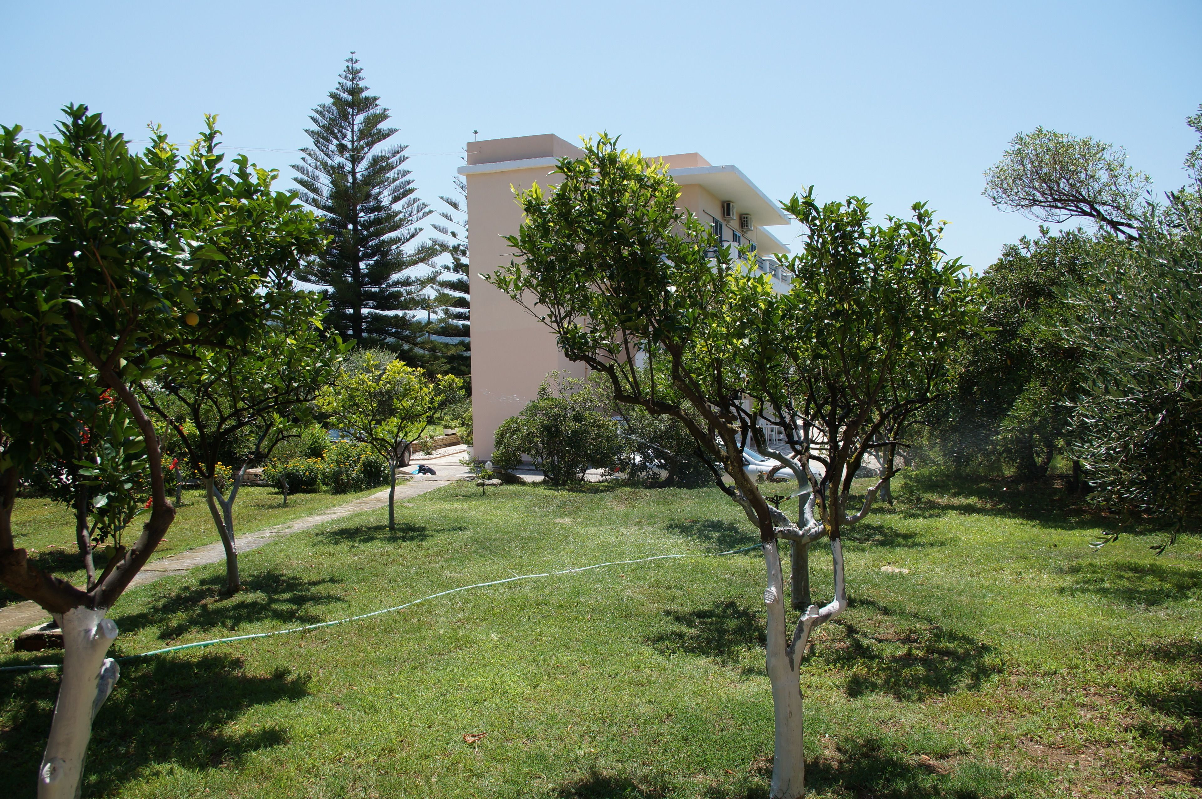 A grassy area with trees and a building in the background.
