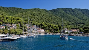 A marina with several sailboats docked, surrounded by lush green hills and a coastal town with buildings.