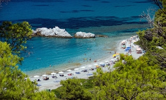 Escritorio, cunas gratuitas, wifi gratis y ropa de cama