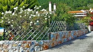 A stone wall with a wooden fence, white flowers, and a mountain in the background.