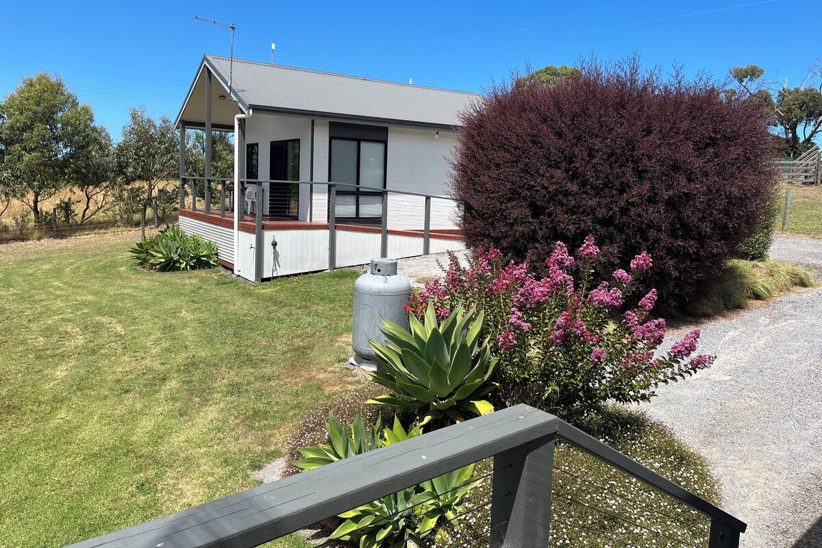 A single-story house with a covered porch, a fenced yard, and a variety of plants.