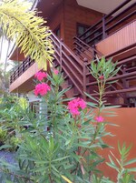 Escritorio y wifi gratis 