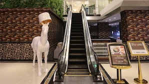 Un décor intérieur comprenant un escalier mécanique, une statue de cheval blanc, un panneau indiquant «Hall d’hôtel» et un mur végétal.