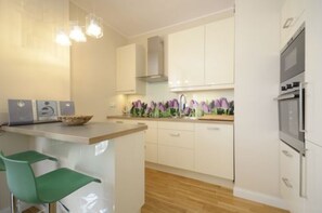 Apartment, 1 Double Bed with Sofa bed, Kitchenette, City View | Private kitchen | Fridge, microwave, stovetop, dishwasher
