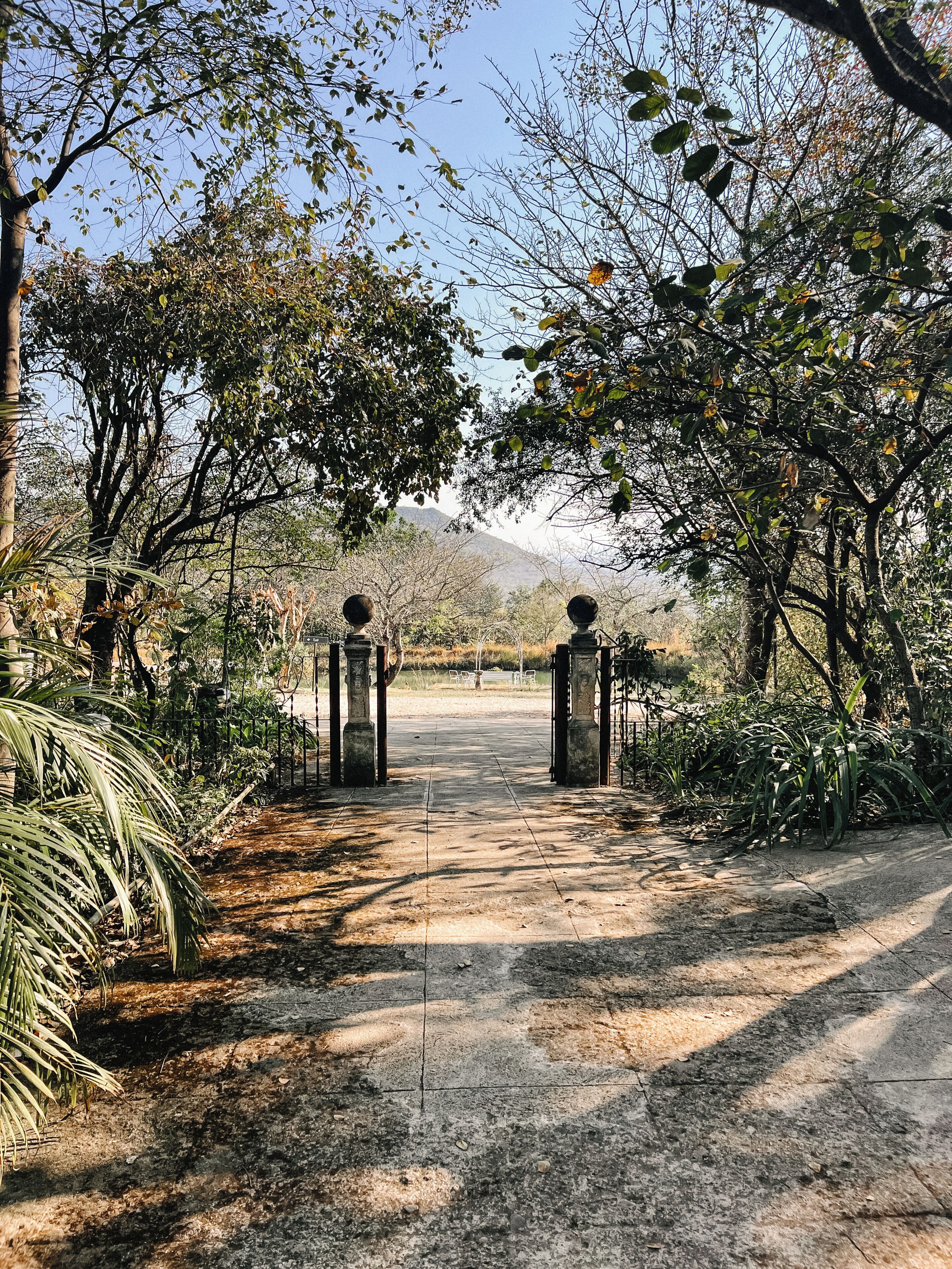 Un sendero pavimentado que conduce a una entrada con puerta, rodeada de árboles y vegetación.