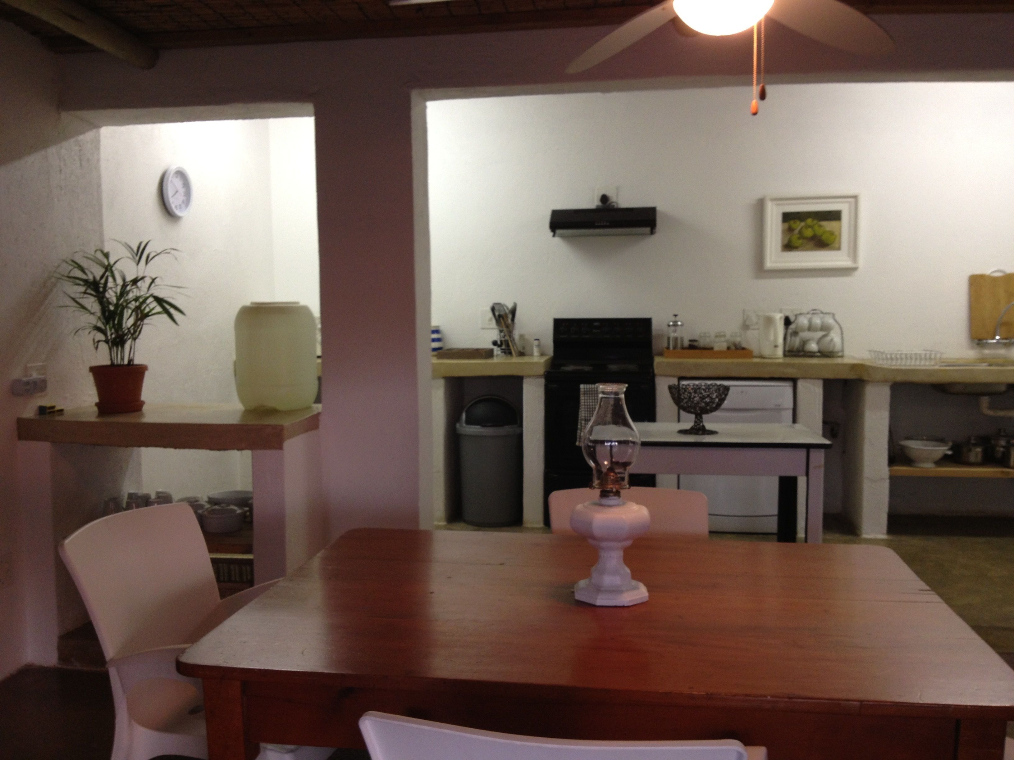 A dining area with a wooden table, white chairs, a potted plant, and a kitchen in the background.