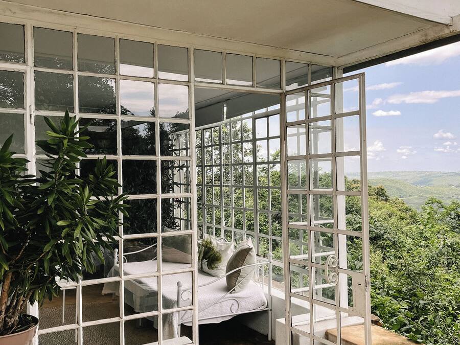 A room with a bed, a potted plant, and a view of the outdoors.