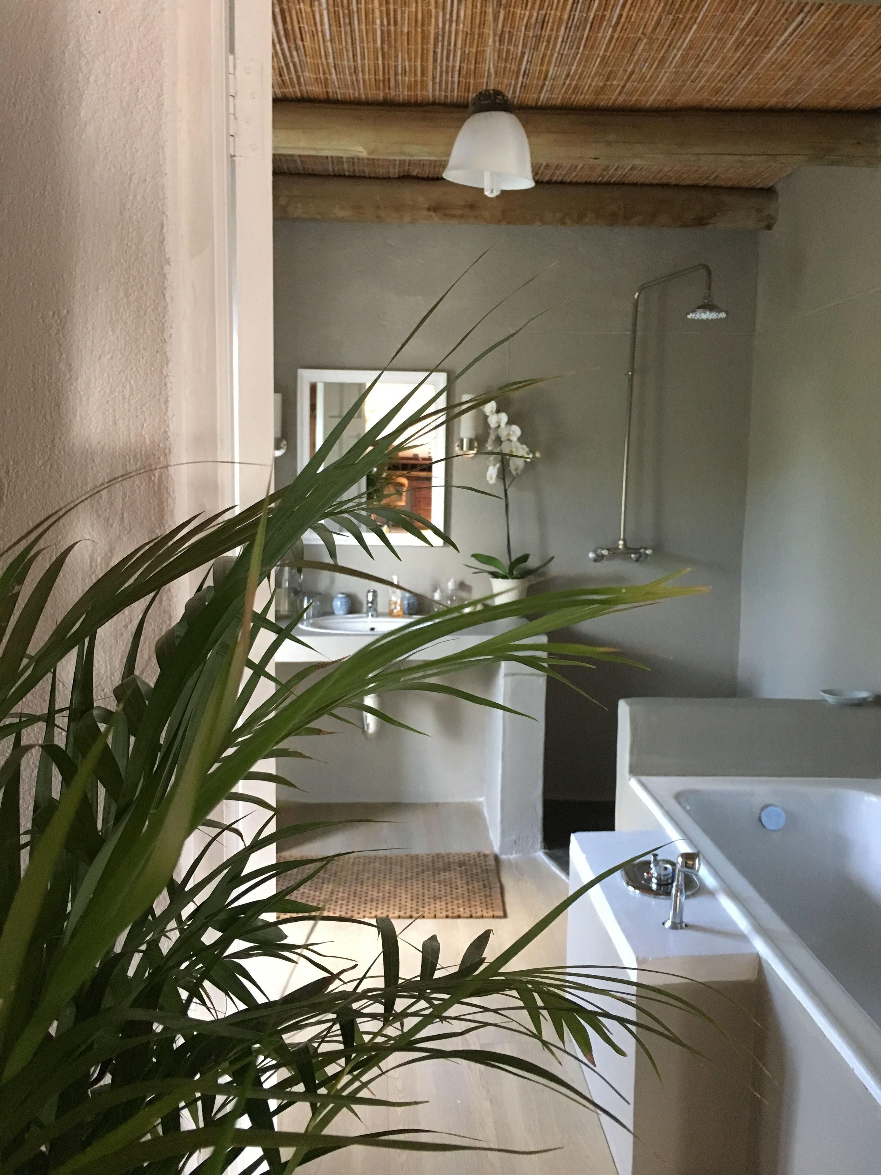 A modern bathroom with a large bathtub, a shower, and a sink. There is a potted plant in the foreground and a hanging light fixture above the sink.
