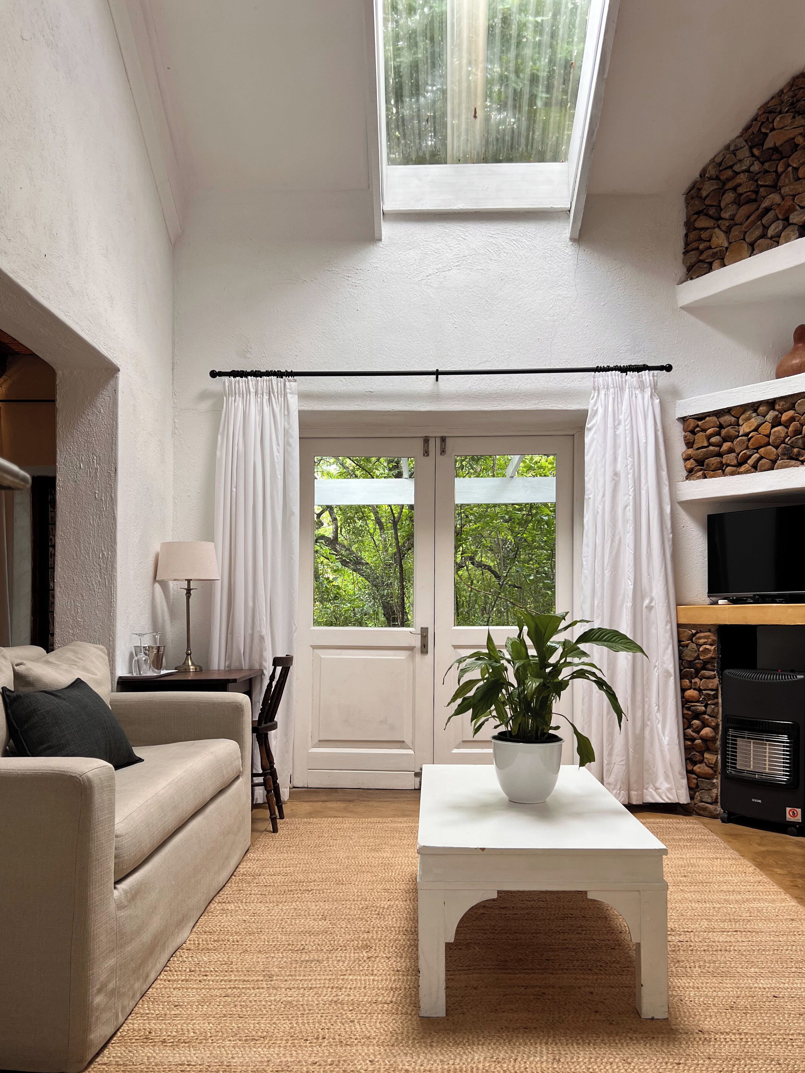 A living room with a sofa, a coffee table with a plant, a TV, and a fireplace.