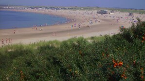 A beach with people, tents, and a lifeguard tower. - Resort Land en Zee (Noordwelle)