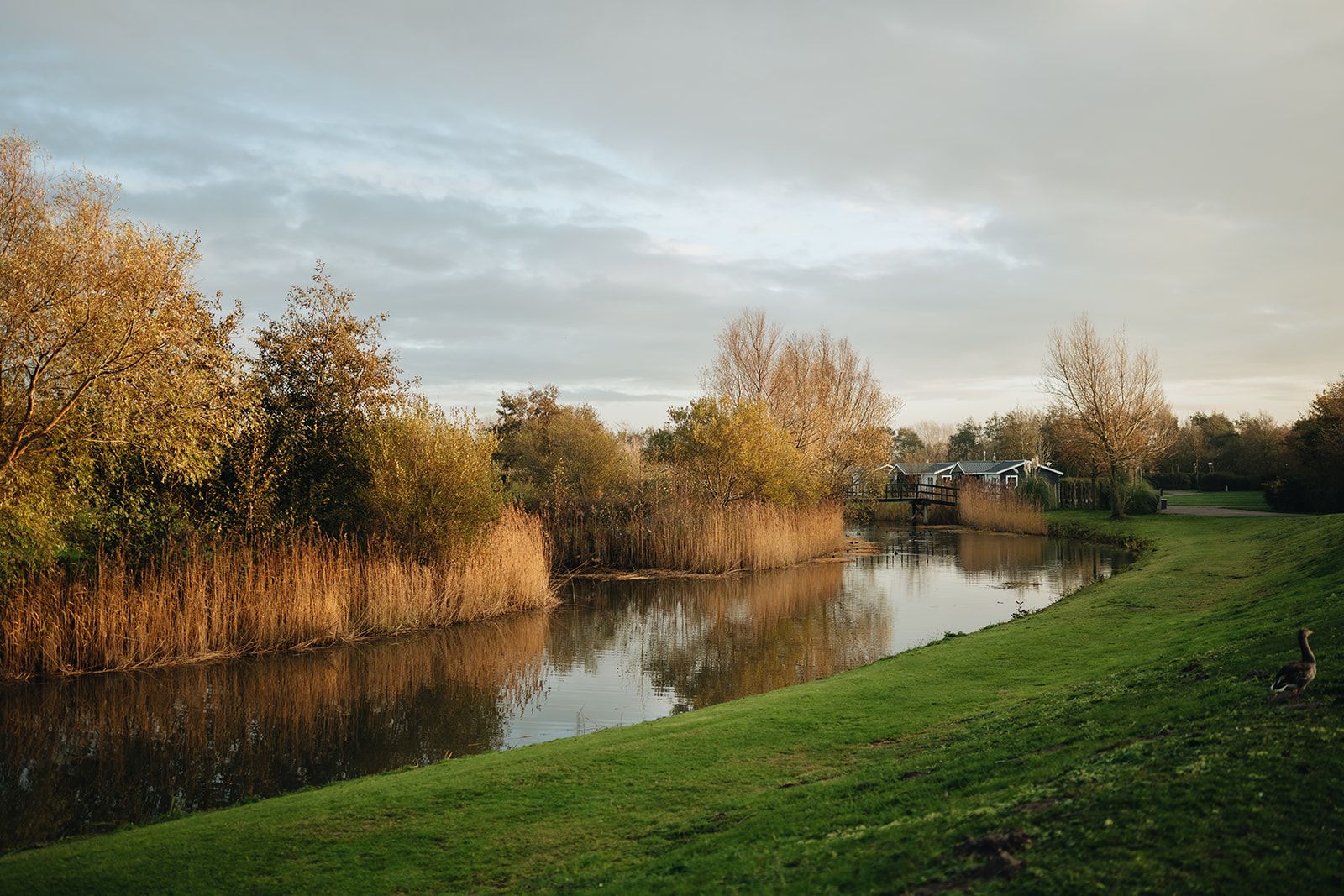 A calm river with a wooden bridge, surrounded by trees and grassy banks.
