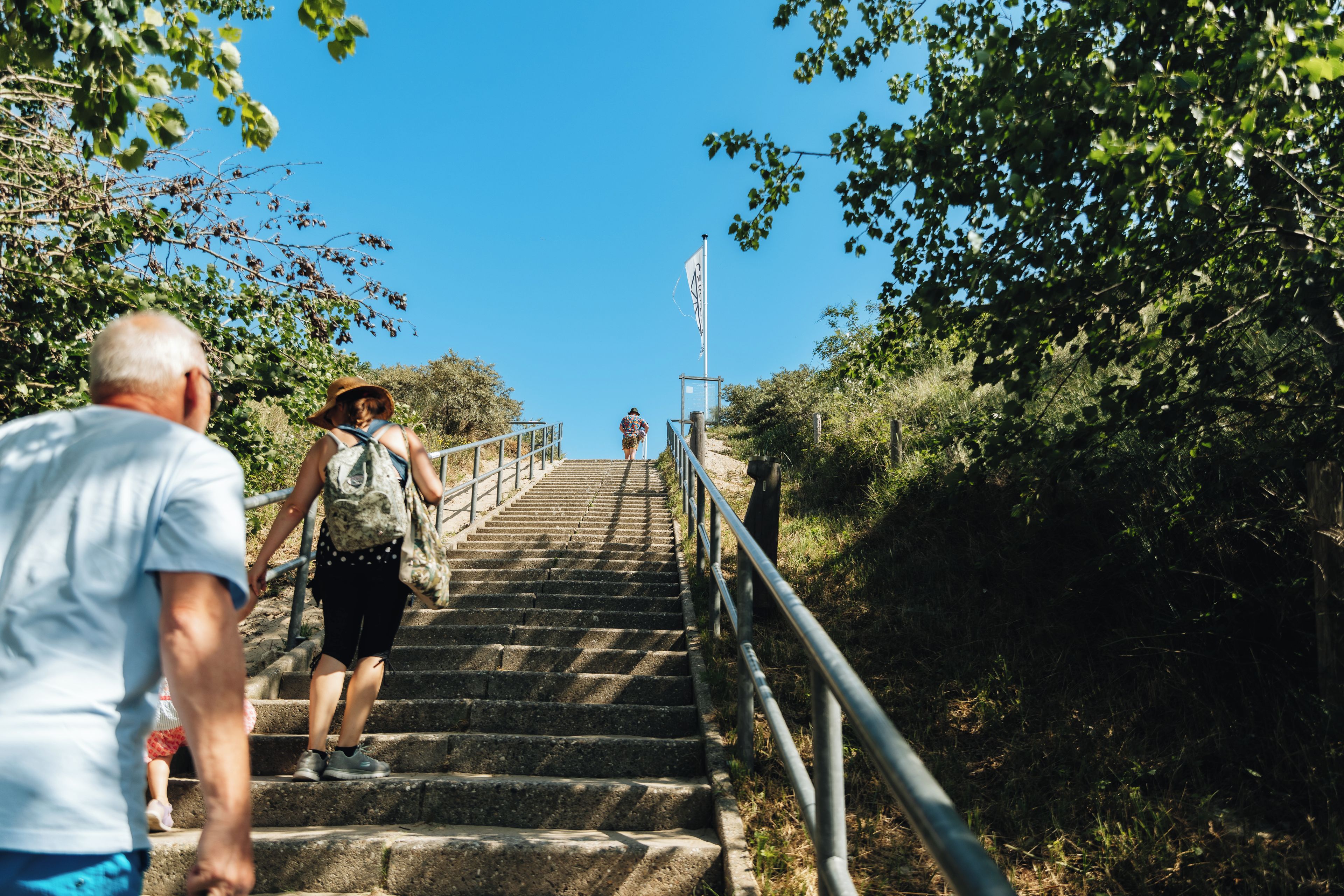 A set of stone stairs leading up a hill, surrounded by greenery and a clear sky.