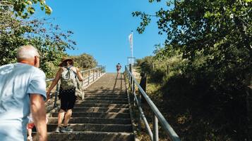 A set of stone stairs leading up a hill, surrounded by greenery and a clear sky.