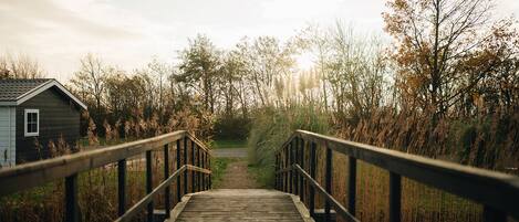 A wooden bridge leading to a house surrounded by tall grasses and trees.