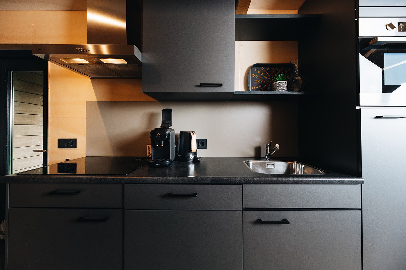 Una cocina moderna con cafetera integrada, un lavamanos y una pequeña planta en maceta sobre la encimera.