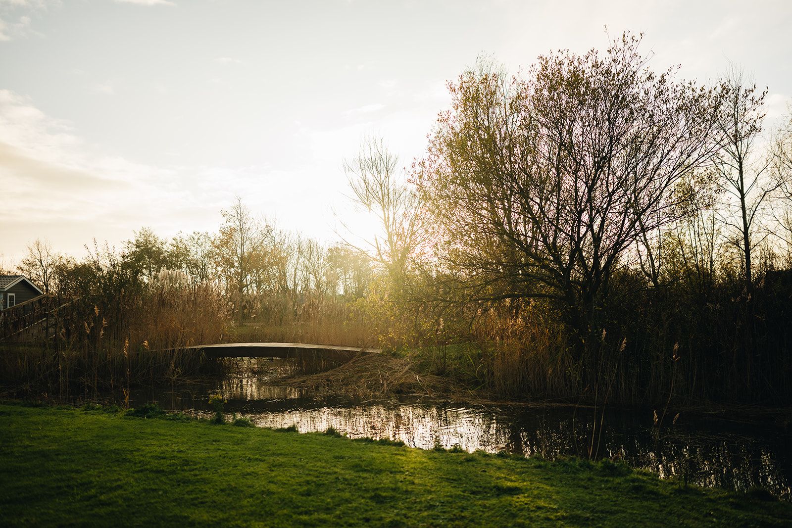 Een landelijke brug over een rustige rivier, omringd door weelderige begroeiing en bomen.