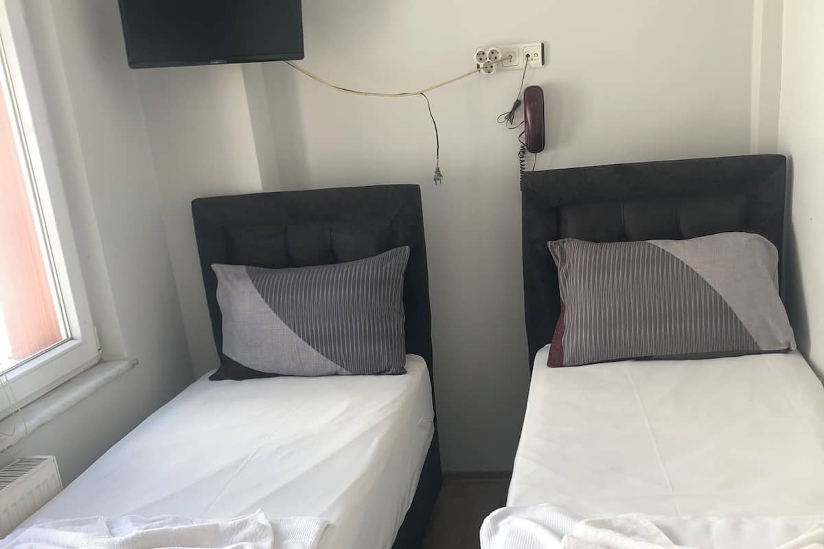 Two single beds with dark headboards, white linens, and striped pillows. A flat-screen TV is mounted on the wall above the beds.