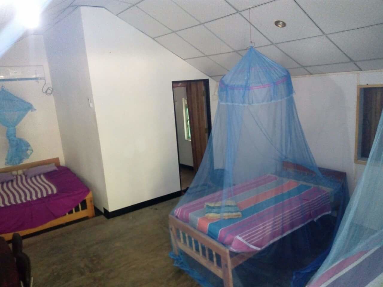 Habitació amb dos llits, un d'ells amb mosquitera blava.