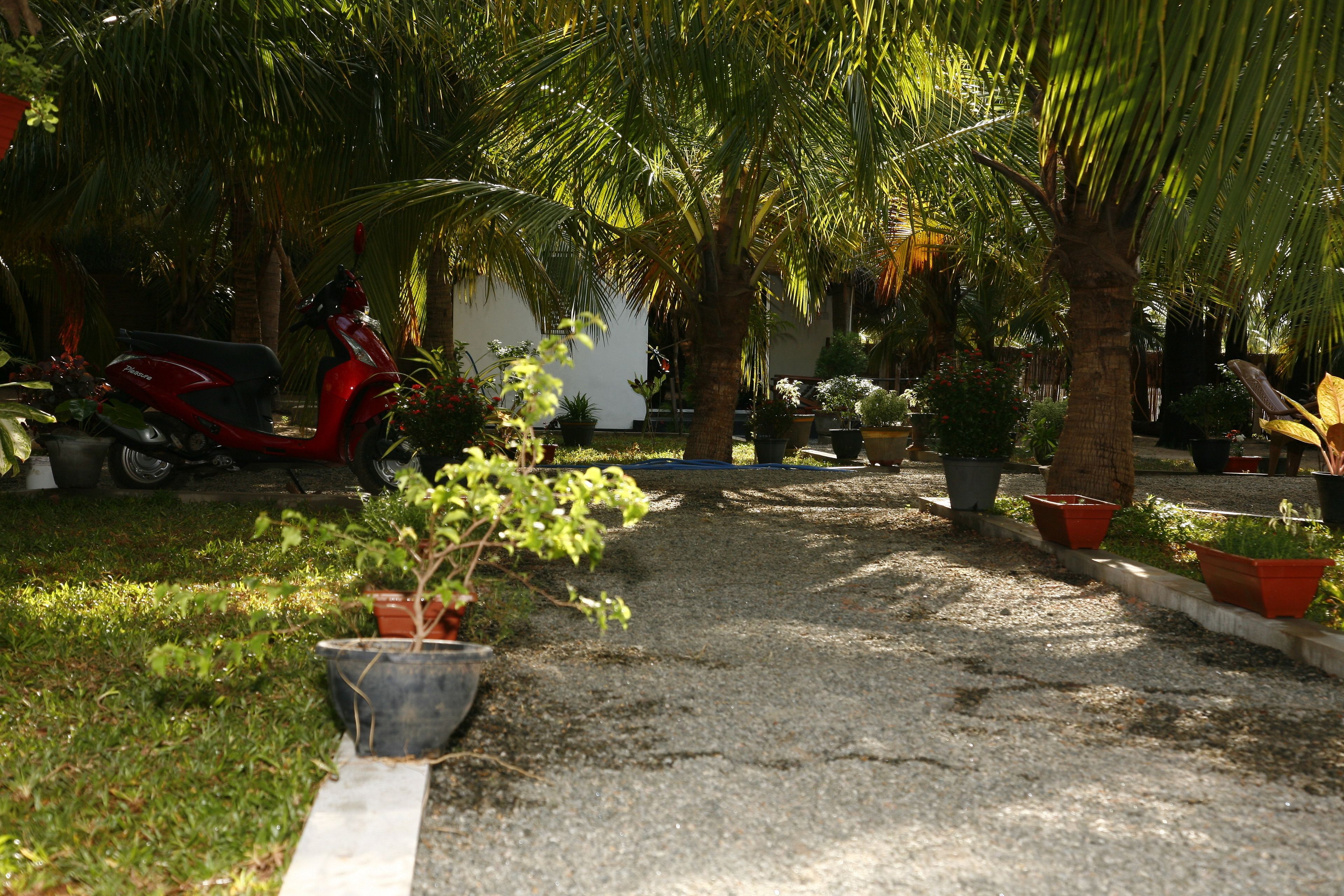 Un sendero en un jardín con plantas en macetas y un scooter rojo.