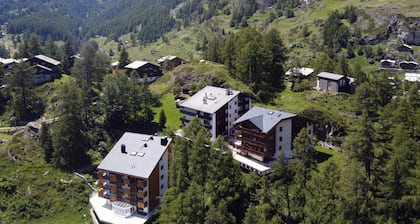 Appartements Zermatt Paradies