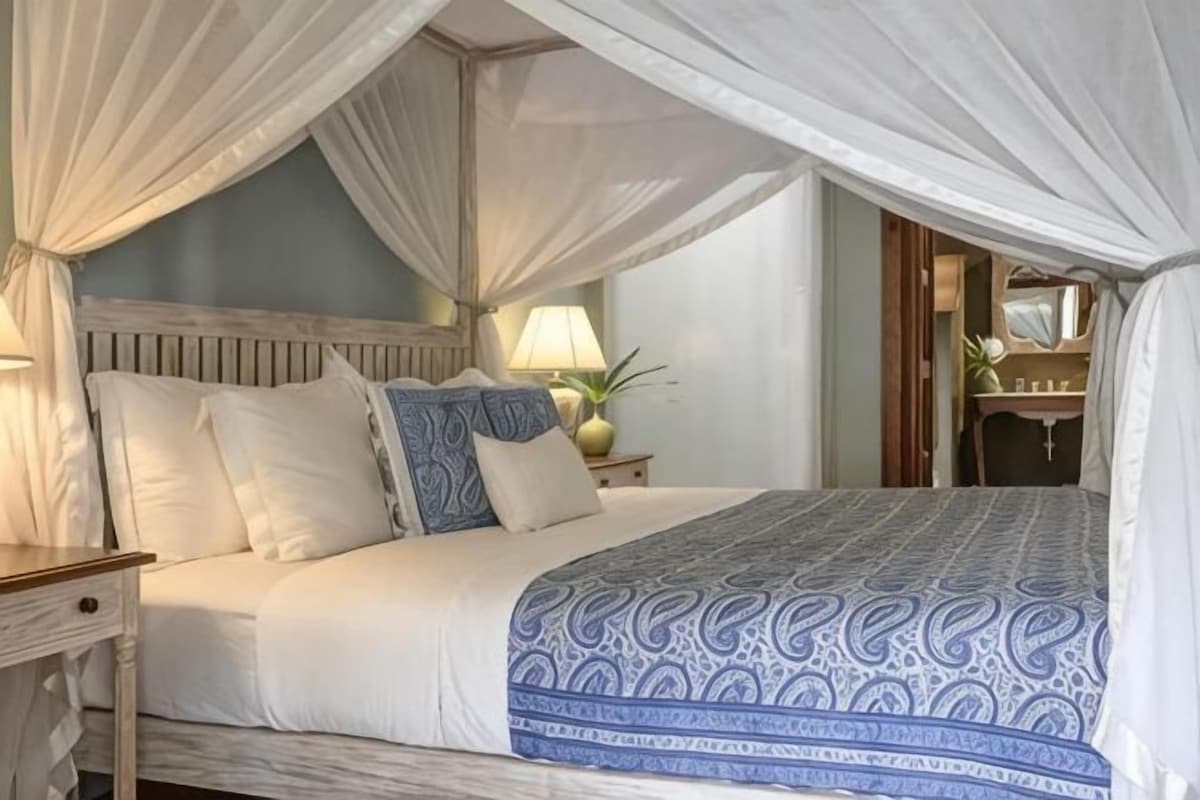 A bed with a canopy, a bedside lamp, and a mirror on the wall.