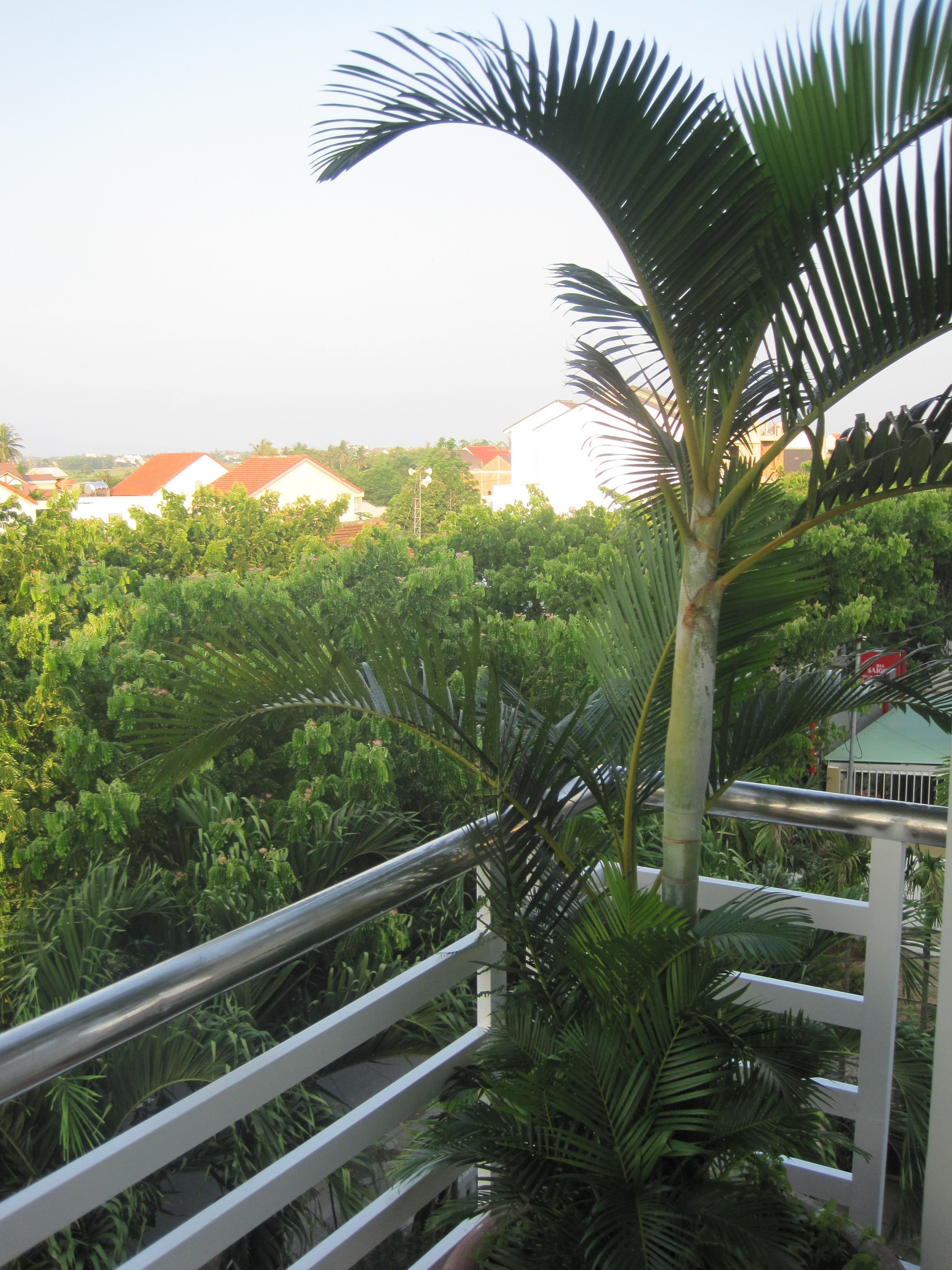 A balcony with a view of a lush green garden and buildings with red roofs in the background.