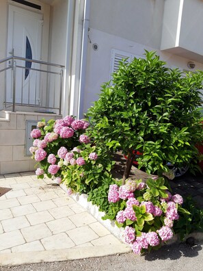 Apartamento (Apartments Pojko - Standard One-Bedro) | Jardim