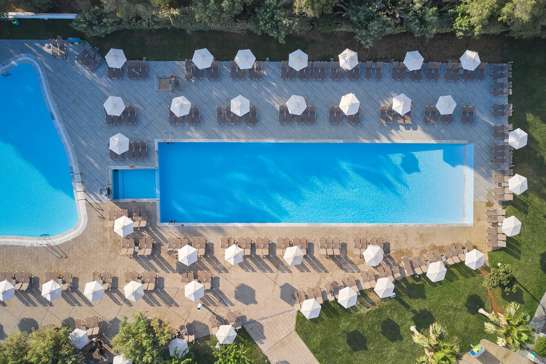 Vista aérea de una piscina rectangular con tumbonas y sombrillas cercanas, rodeada de jardines y árboles.