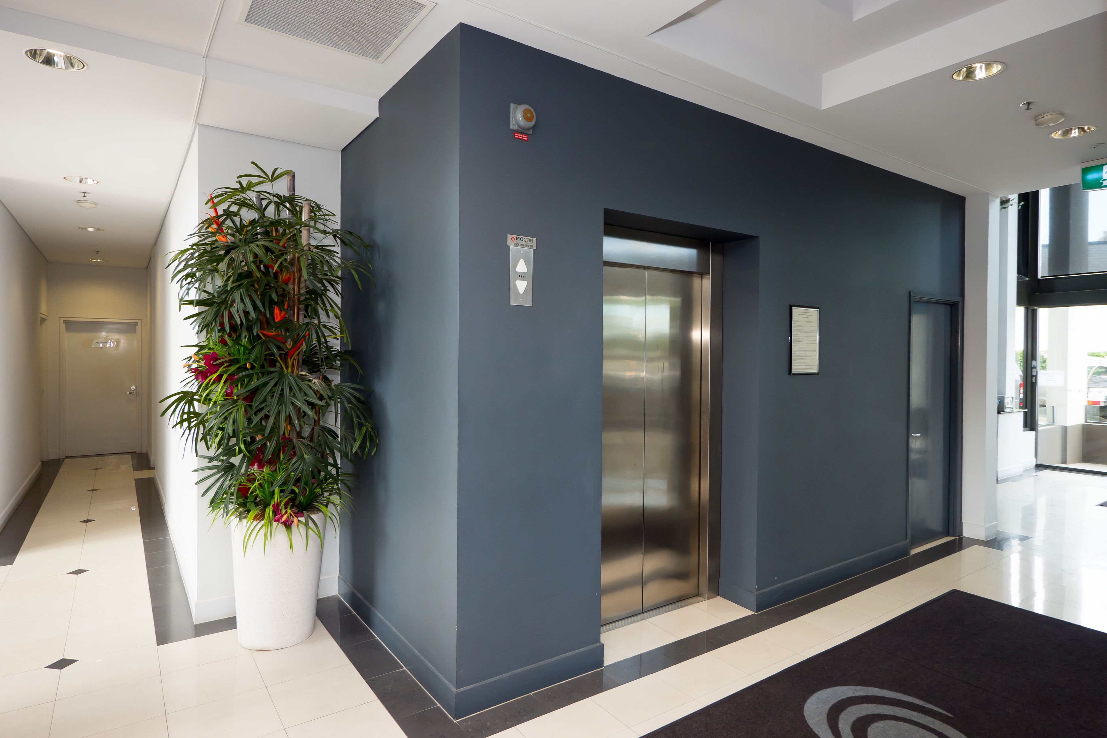 Un ascensor moderno con detalles metálicos, una planta en maceta con follaje verde y flores rojas, y una pared azul oscuro.