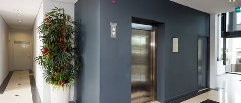A modern elevator with a metallic finish, a potted plant with green foliage and red flowers, and a dark blue wall.